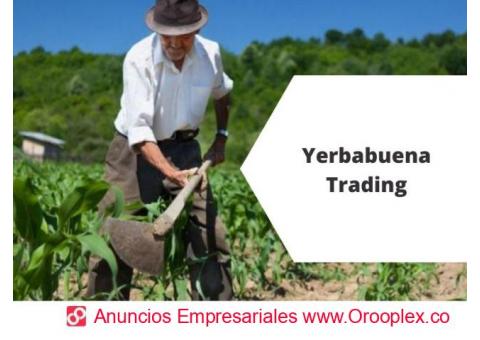 Yerbabuena Trading