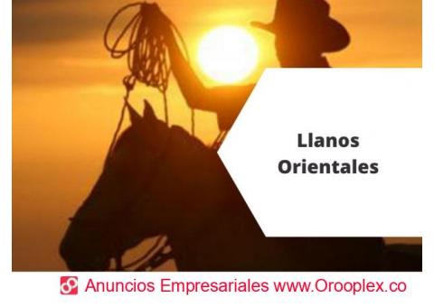 Llanos Orientales