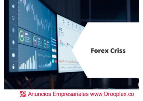 Curso de Trading en Bogotá