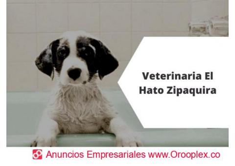 Peluquería Canina en Zipaquirá