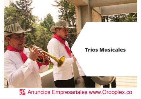 Trios Musicales